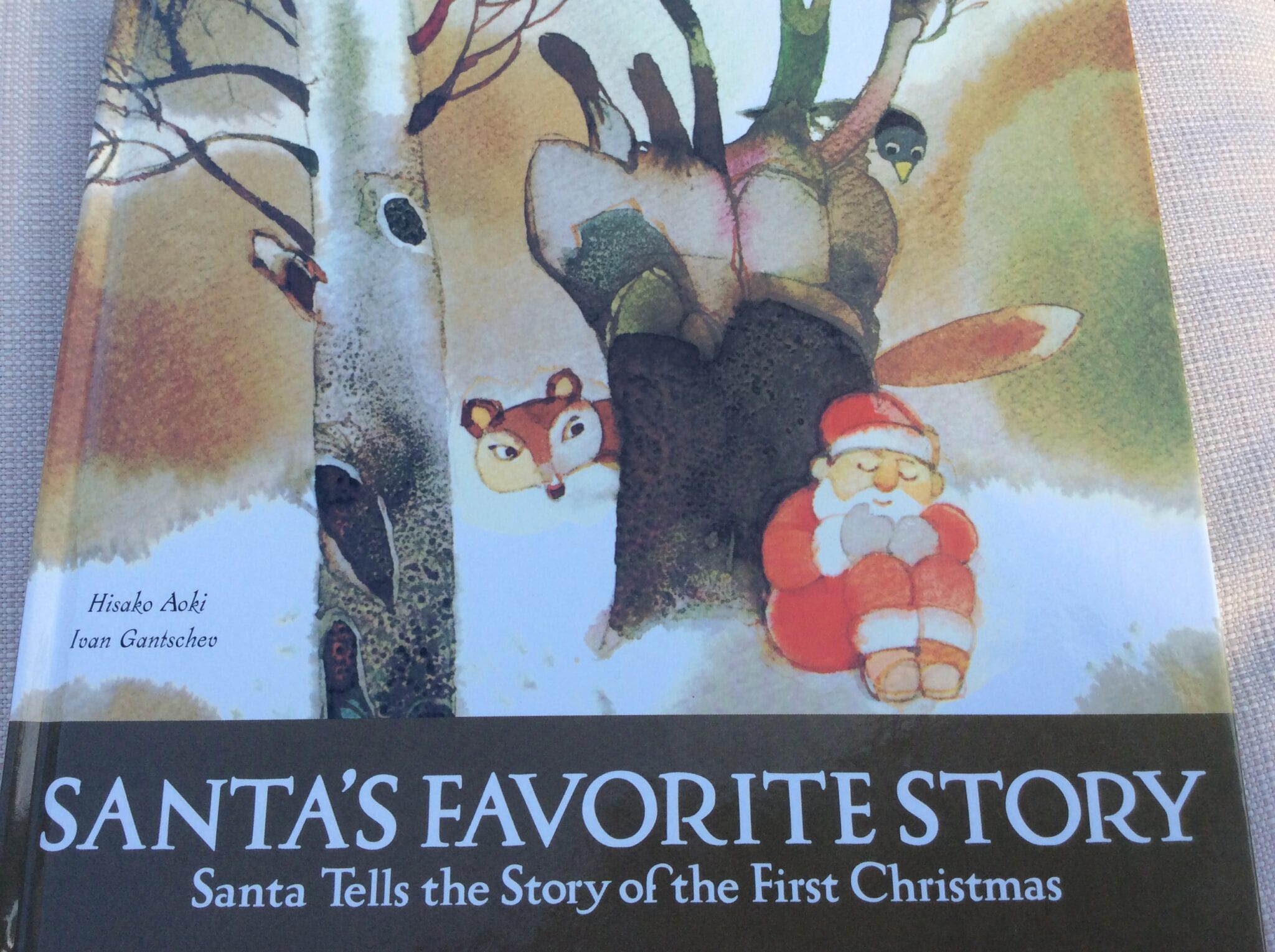 Santa tells the True Christmas Story Great Kid’s Book!  Dr. Magdalena